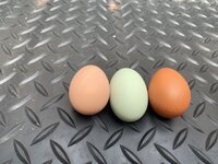 773226C0-0EEB-483A-89AA-F4165A6E85C9.jpeg