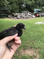 2019-09-06 14.13.04.jpg 2019-09-06 14.13.04.jpg
