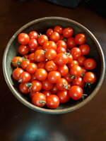 20190906_175701.jpg