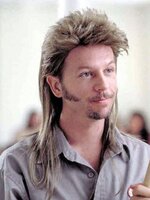 635699477613124237-635698308411934487-JoeDirt.jpg