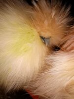 IMG20190907231234.jpg