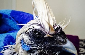 IMG_8681.JPG