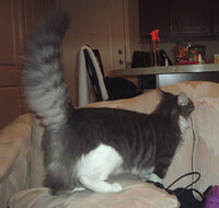 fluffybutt.jpg