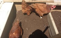composter03.jpg