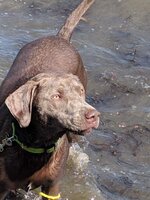 IMG_20190908_133851.jpg