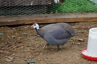 DSC_7762.JPG