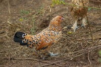 DSC_7781.JPG