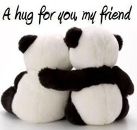 hugging bears.jpg