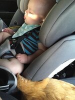 20190517_190945_IMG_1639.JPG 20190517_190945_IMG_1639.JPG