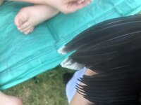 IMG_0690.jpg