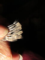 IMG_9684.JPG