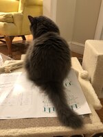 43F61301-3813-4D34-948C-3AC1995470B4.jpeg