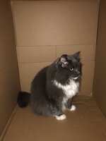 F4775F44-C736-4587-831B-D5B5D488C607.jpeg