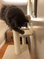 5F8B8326-AB14-4F4C-81FE-DD6B3EE05A44.jpeg