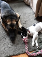 20190914_133926.jpg