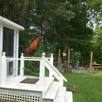 IMG_20190602_171945_508.jpg