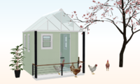 Chicken3.PNG Chicken3.PNG