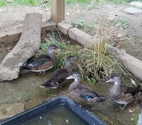 20190916_165426.jpg