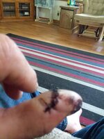 20190626_155923.jpg