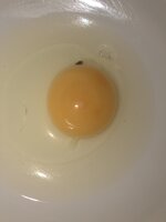 3A537EDB-FAEA-46FD-8ED3-83EF0BE8A9E5.jpeg