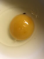 73F0E3DE-4DC6-4223-AABE-663C6CB2F0C5.jpeg