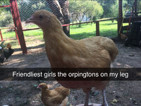 25B4E557-9754-4EA0-8B36-E3F436BCBC3F.jpeg