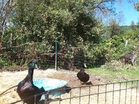20190918_140909.jpg
