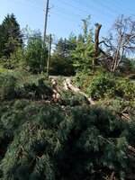 20190920_103016.jpg