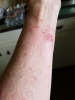 20190920_091338.jpg