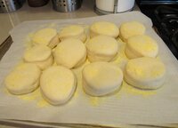 English muffins risen.jpg