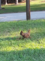 C20190907_180926.jpg