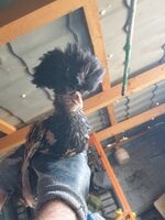 20190920_115436.jpg 20190920_115436.jpg