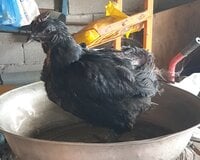 20190920_113207.jpg 20190920_113207.jpg