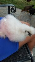 20180711_200901.jpg 20180711_200901.jpg
