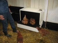 Community Nest Box 1 003.JPG