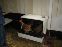 Community Nest Box 1 004.JPG