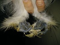 20190925_185904.jpg