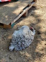 20190919_123027.jpg