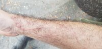 20190925_190446.jpg