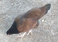 20190925_203437.jpg