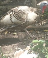 20190927_130214-1.jpg 20190927_130214-1.jpg