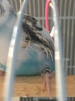thumbnail_IMG_4806.jpg