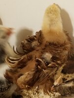 20190422_092537.jpg