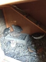 IMG_20190929_083524263.jpg