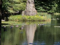 15D06915-AF74-406D-97CC-B73180C19283.jpeg