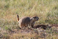 IMG_3237.JPG