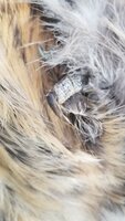 20191002_071347.jpg 20191002_071347.jpg