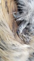 20191002_071359.jpg 20191002_071359.jpg