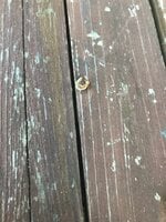 Photo Oct 01, 6 19 58 PM.jpg