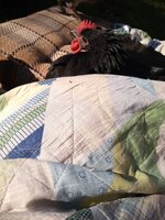 IMG_20190921_154202322.jpg